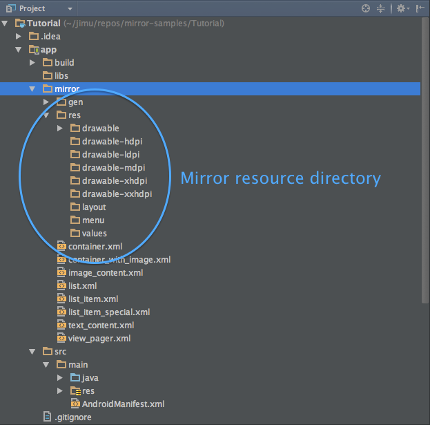Mirror resource directory